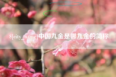 合肥中国九金是哪九金的简称