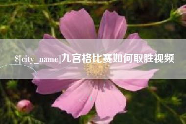 合肥九宫格比赛如何取胜视频
