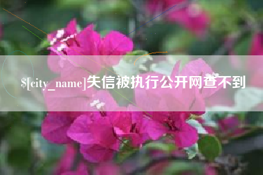 合肥失信被执行公开网查不到