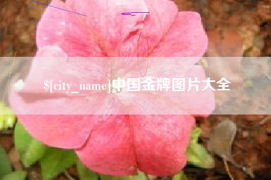 合肥中国金牌图片大全