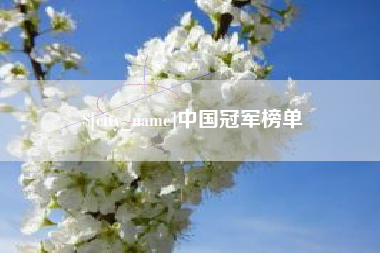 合肥中国冠军榜单