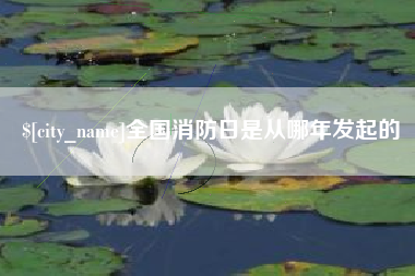 合肥全国消防日是从哪年发起的