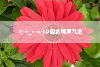 合肥中国金牌第九金