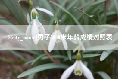 合肥男子5000米年龄成绩对照表