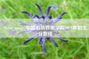 合肥中国消防救援学院2024年招生分数线