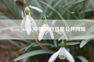 合肥中国执行信息公开网询