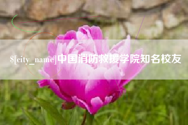 合肥中国消防救援学院知名校友