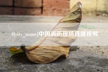合肥中国消防现场直播视频