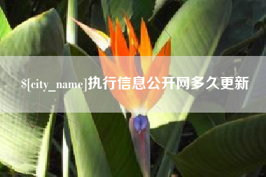 合肥执行信息公开网多久更新
