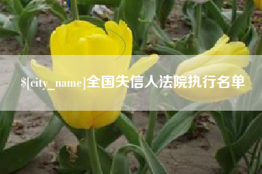 合肥全国失信人法院执行名单