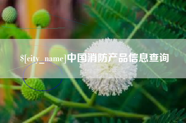 合肥中国消防产品信息查询