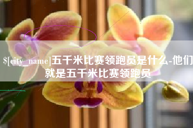 合肥五千米比赛领跑员是什么-他们就是五千米比赛领跑员