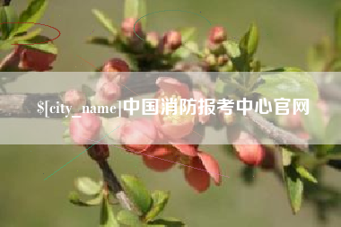 合肥中国消防报考中心官网
