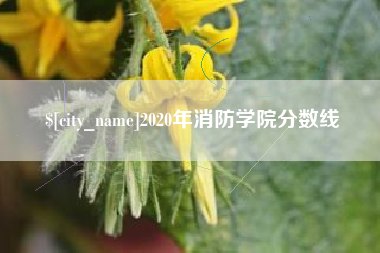 合肥2020年消防学院分数线