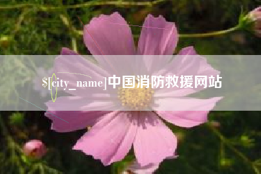 合肥中国消防救援网站