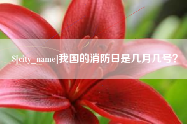 合肥我国的消防日是几月几号？