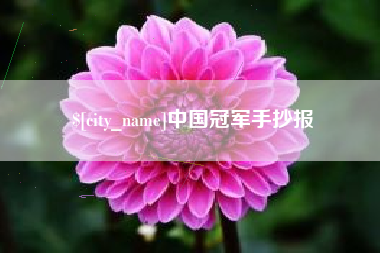 合肥中国冠军手抄报