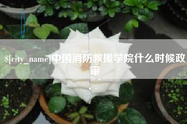合肥中国消防救援学院什么时候政审