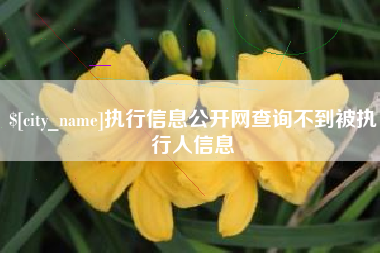 合肥执行信息公开网查询不到被执行人信息