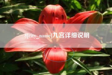 合肥九宫详细说明
