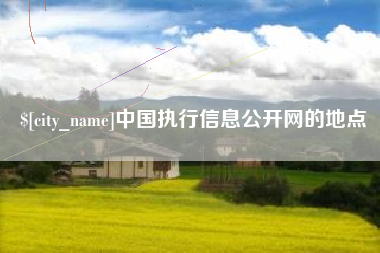 合肥中国执行信息公开网的地点