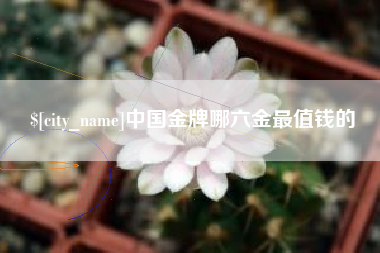 合肥中国金牌哪六金最值钱的