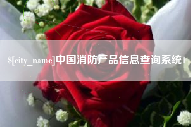 合肥中国消防产品信息查询系统1