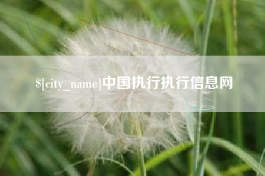合肥中国执行执行信息网