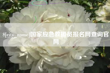 合肥国家应急救援员报名网查询官网