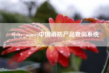合肥中国消防产品查询系统