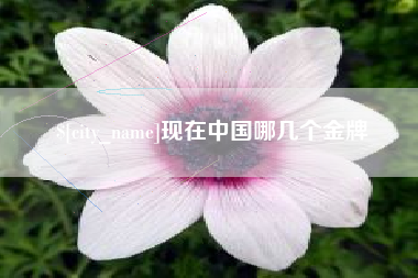 合肥现在中国哪几个金牌