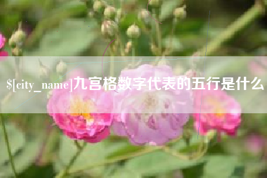 合肥九宫格数字代表的五行是什么