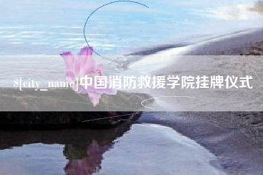 合肥中国消防救援学院挂牌仪式