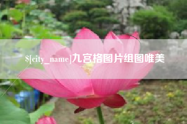合肥九宫格图片组图唯美