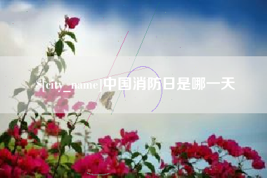 合肥中国消防日是哪一天