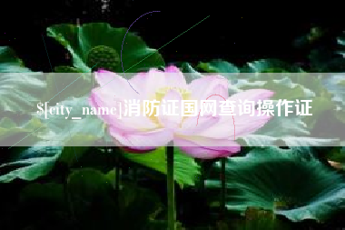 合肥消防证国网查询操作证
