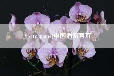 合肥中国消防官方