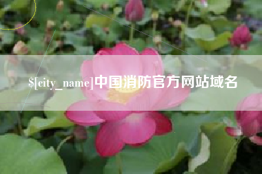 合肥中国消防官方网站域名