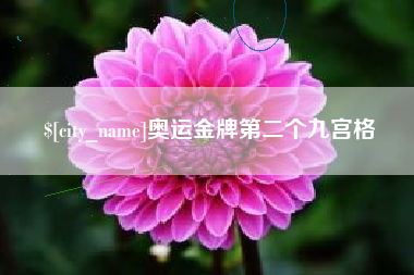 合肥奥运金牌第二个九宫格