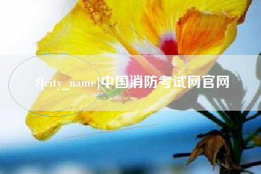 合肥中国消防考试网官网