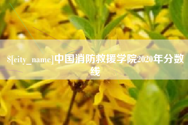 合肥中国消防救援学院2020年分数线