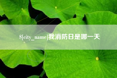 合肥我消防日是哪一天