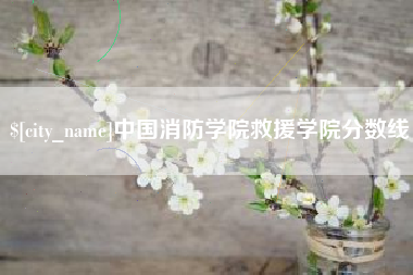 合肥中国消防学院救援学院分数线