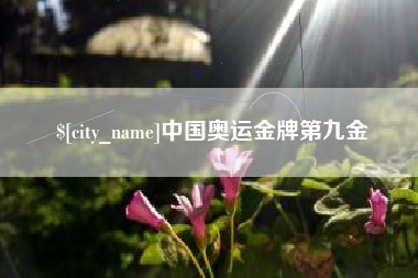 合肥中国奥运金牌第九金