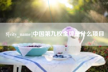 合肥中国第九枚金牌是什么项目