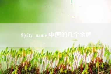 合肥中国的几个金牌