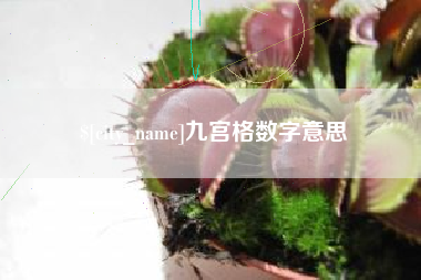 合肥九宫格数字意思