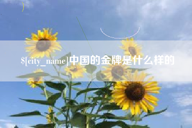合肥中国的金牌是什么样的