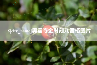 合肥奥运夺金时刻九宫格图片