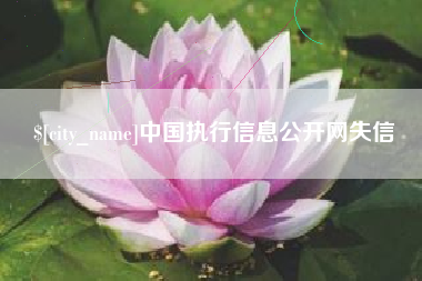 合肥中国执行信息公开网失信
